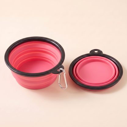Collapsible Travel Bowl with Carabiner - pink