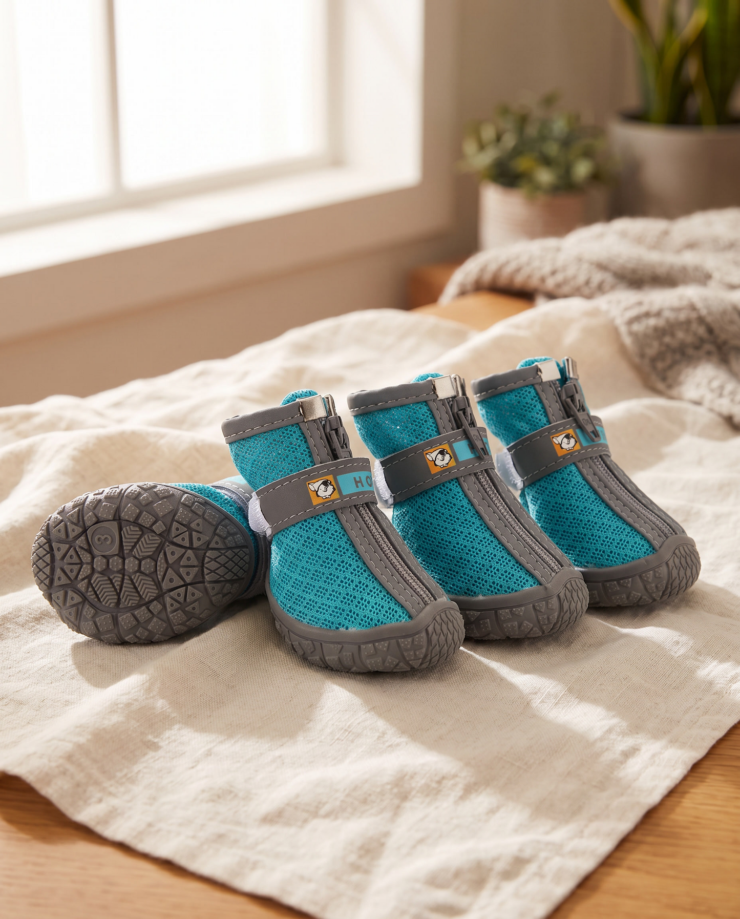 Breathable Mesh Dog Shoes, Set of 4, styled in a home setting