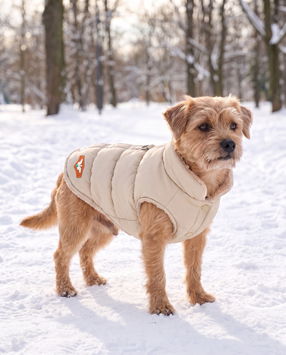 3-Layer Padded Winter Dog Jacket, in use at home