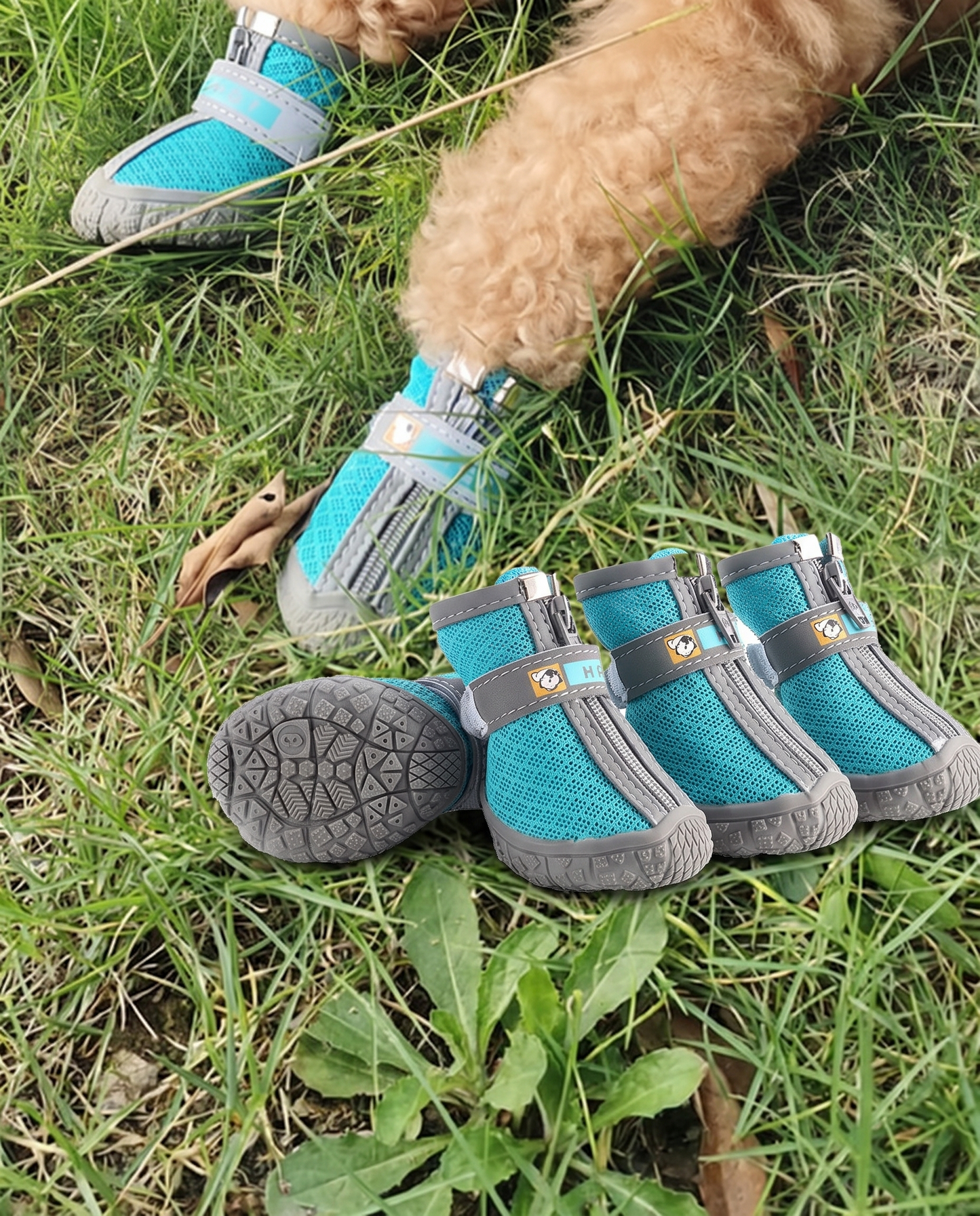 Breathable Mesh Dog Shoes, Set of 4, in use on a walk