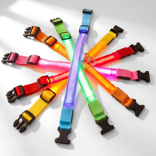 LED Rechargeable Dog Collar