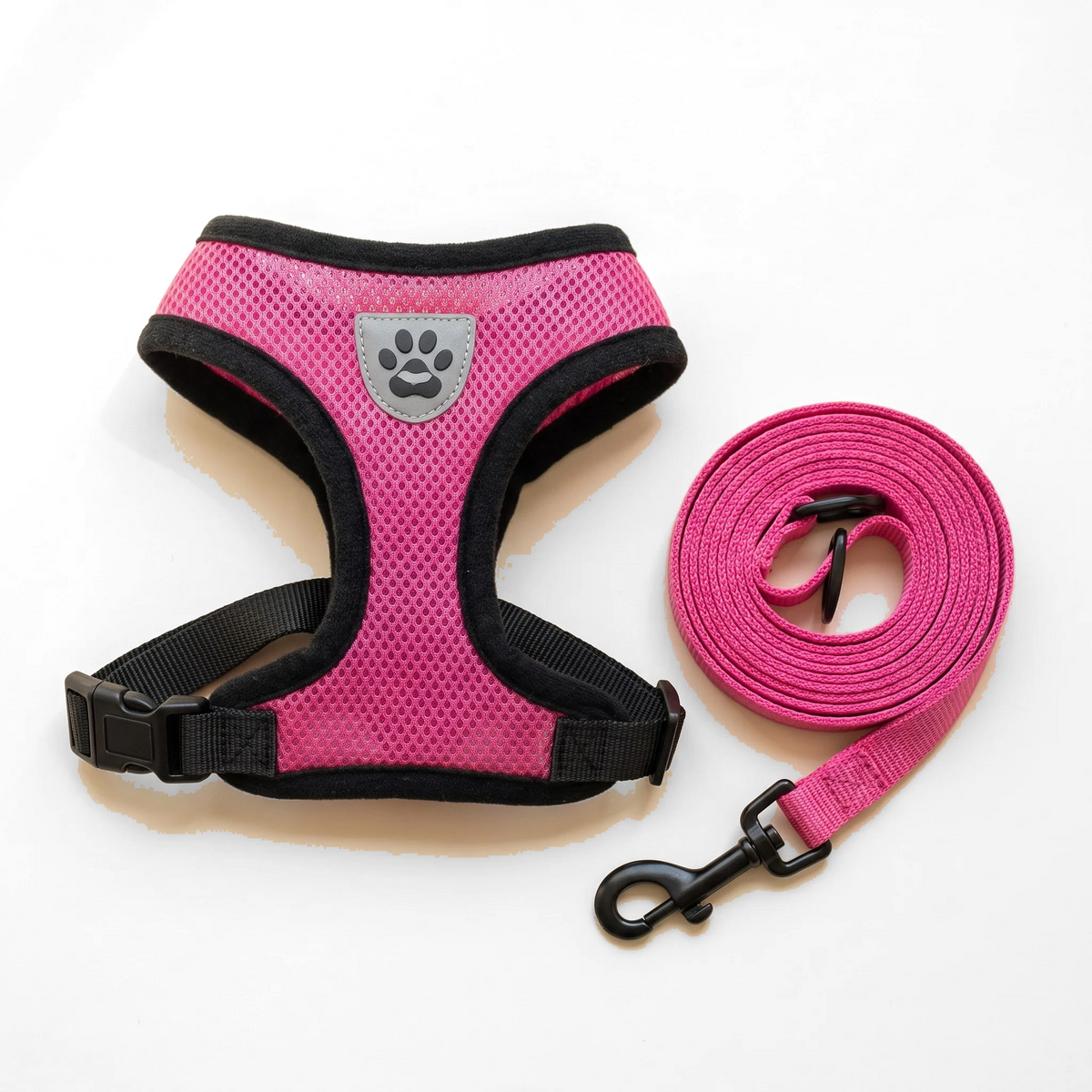 Mesh Vest Harness and Leash Set
