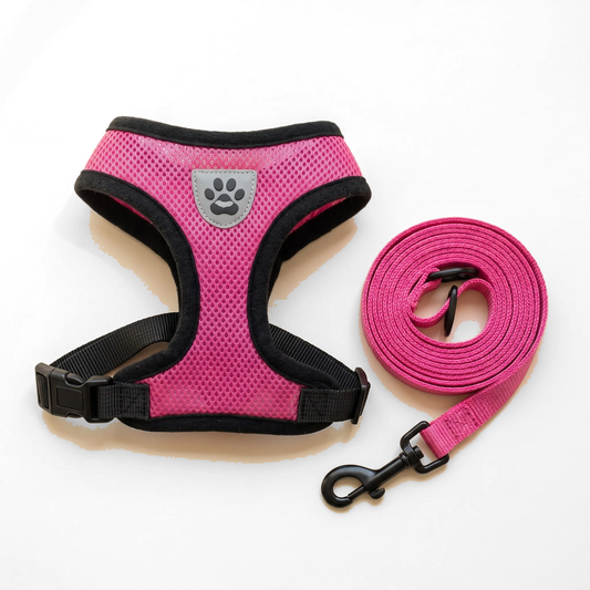 Mesh Vest Harness and Leash Set