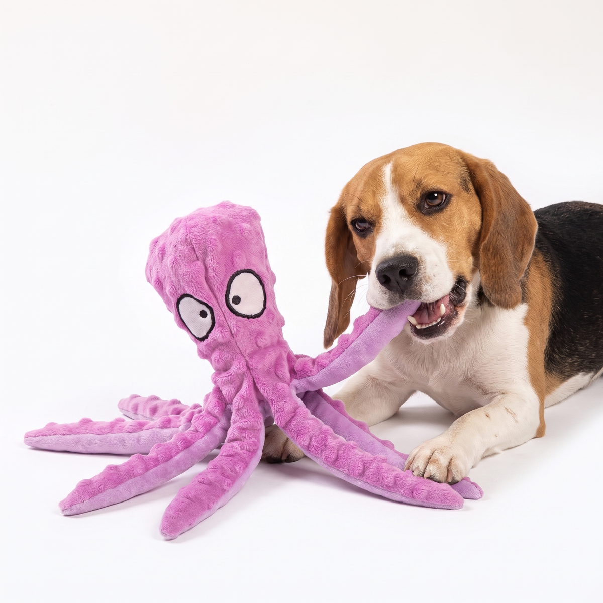 No-Stuffing Octopus Crinkle Toy for Dogs