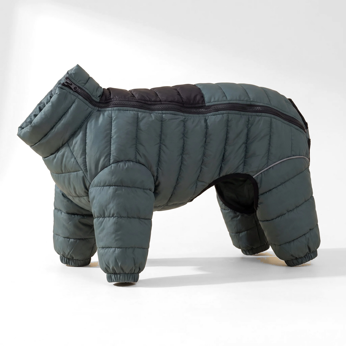 Winter Dog Snowsuit