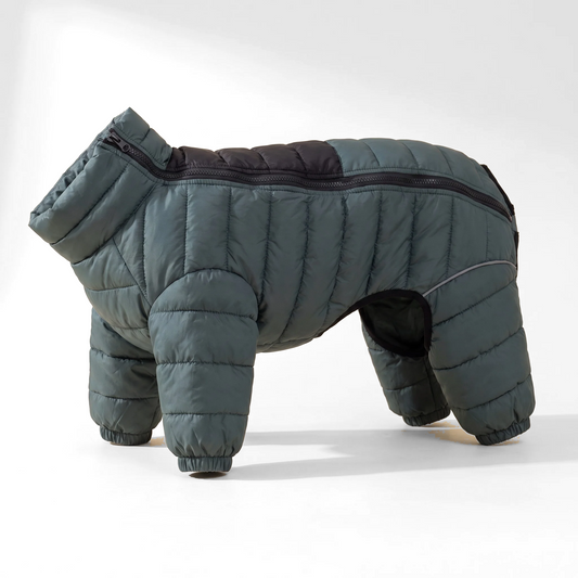 Winter Dog Snowsuit