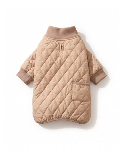 Quilted Winter Coat for Dachshunds, styled in a home setting