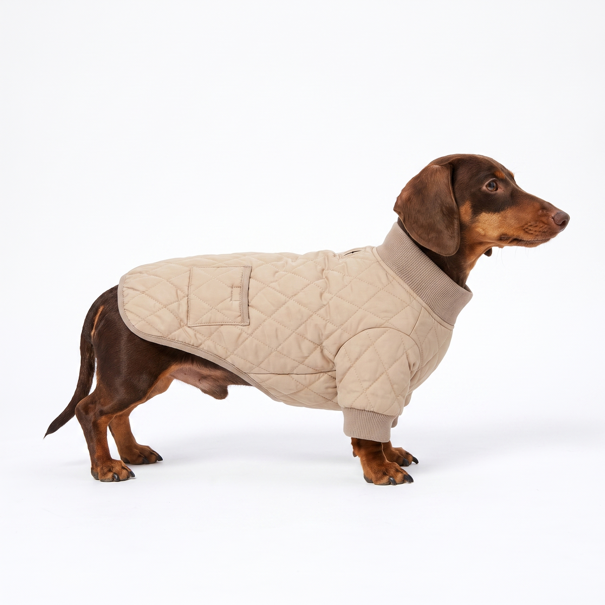 Quilted Winter Coat for Dachshunds