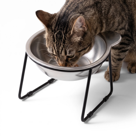 Raised Stainless Steel Cat Bowl