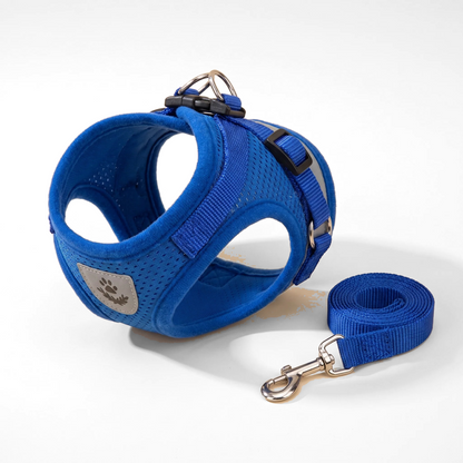 Reflective Mesh Harness and Leash Set