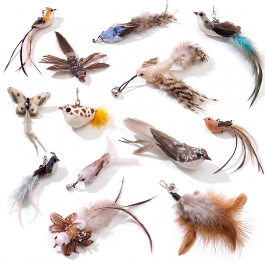 Replacement Feather Lures for Cat Wands