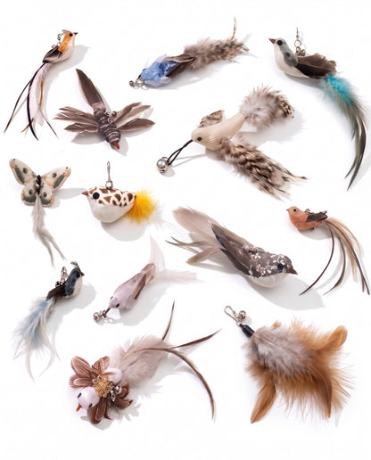 Replacement Feather Lures for Cat Wands, styled in a home setting