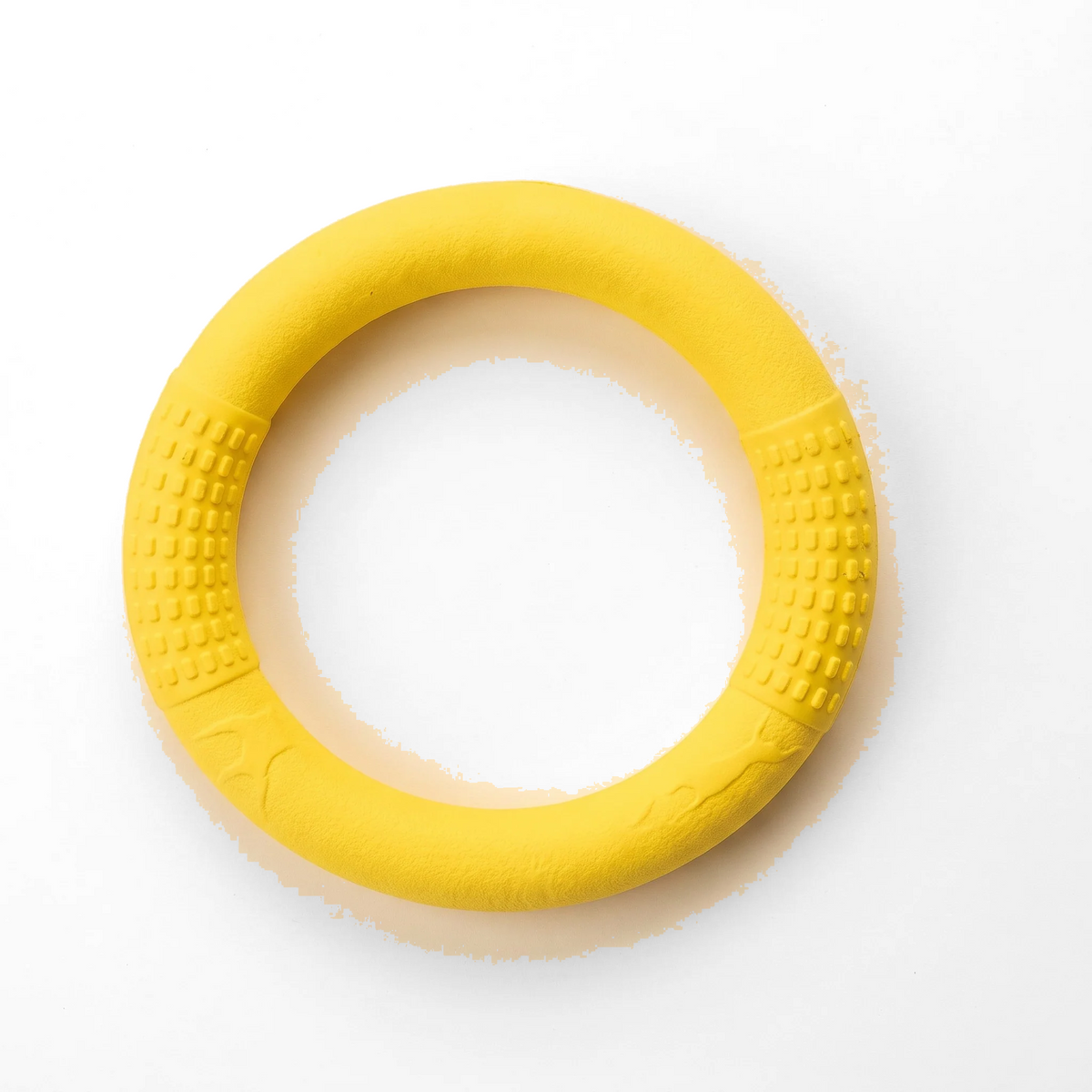 Rubber Ring Tug and Fetch Toy