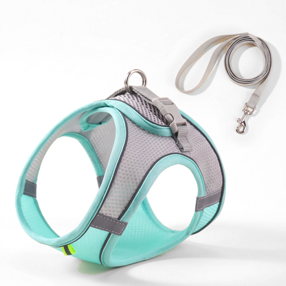 Soft Mesh Step-In Harness and Leash Set