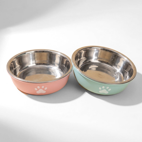Stainless Steel Paw Print Bowl