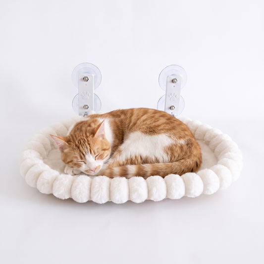 Window Cat Perch with Plush Rim