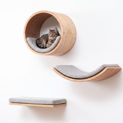 Wooden Wall Cat Climbing Set with Tunnel